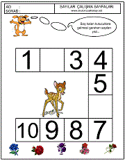 sayılar örüntü çalışmaları